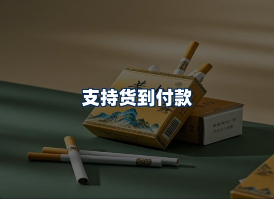专业团队办公环境